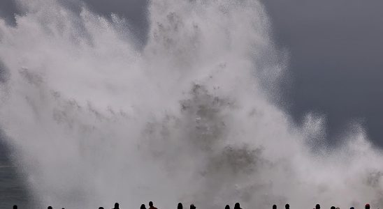 Waves roll in over the California coast