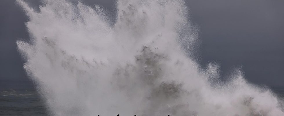 Waves roll in over the California coast