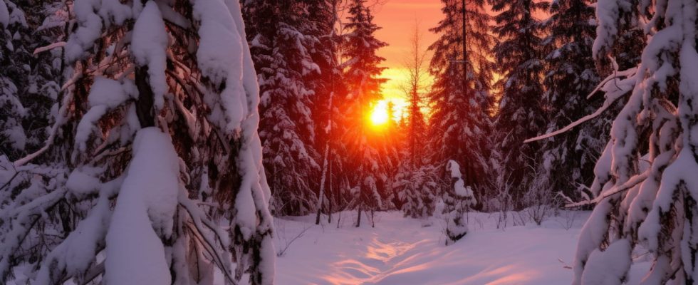 What does the winter solstice mean this December 22 at