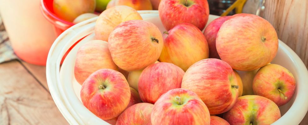 Your apples will be much crunchier if you store them