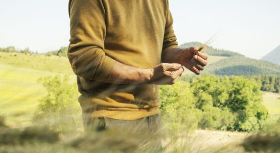 a wind of ecology is blowing through the spirits industry