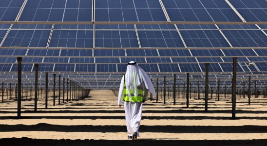 in the United Arab Emirates a transition under the sign