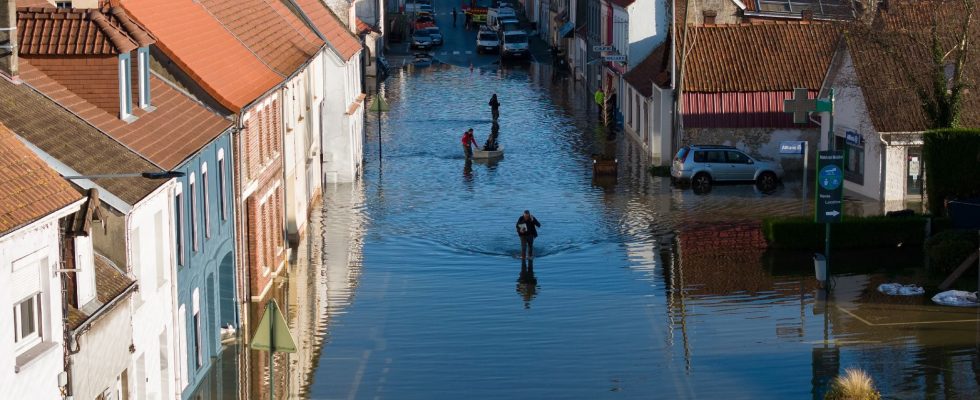 some French people are already thinking about it – LExpress