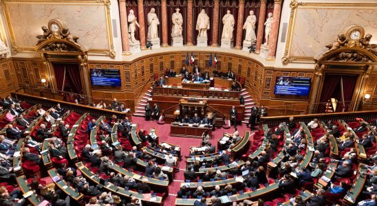 700 euros more per month Senators also increased their mandate