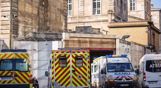 A man stabbed on the Bir Hakeim bridge what we know