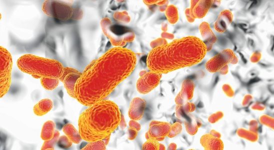 A new antibiotic overcomes a super resistant bacteria thanks to a