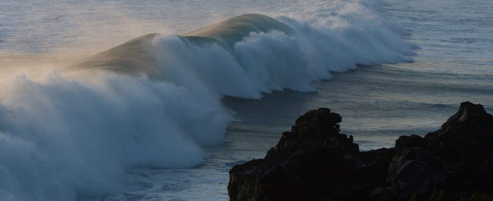 A tsunami alert sent to residents of the south of