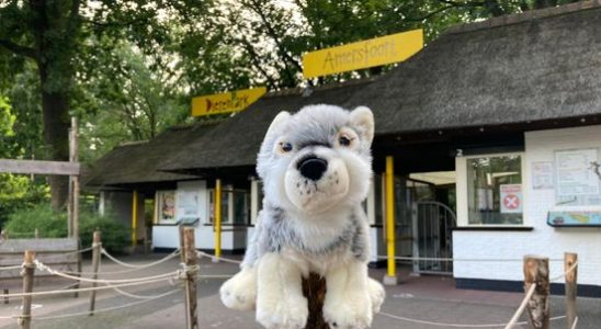 Amersfoort Zoo has the Efteling in its sights as the