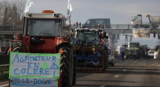 Anger of farmers Violence is a fairly classic way of