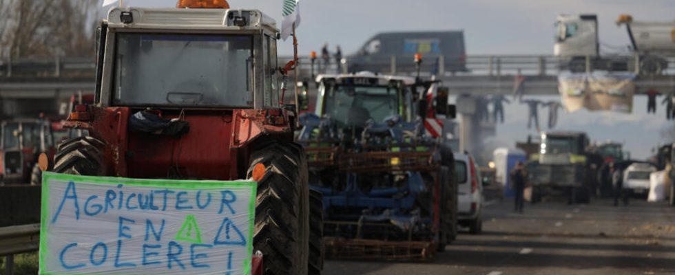 Anger of farmers Violence is a fairly classic way of