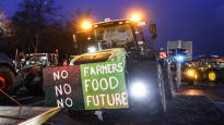 Angry farmers surrounded the center of Berlin Your policy feels