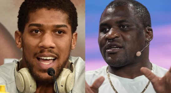 Cameroonian Francis Ngannou to face British heavyweight Anthony Joshua