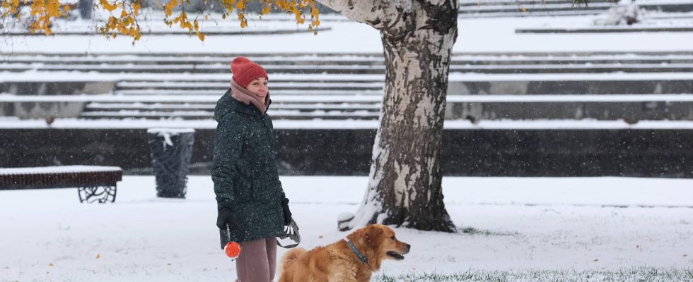 Cold and snow in France detailed weather forecasts