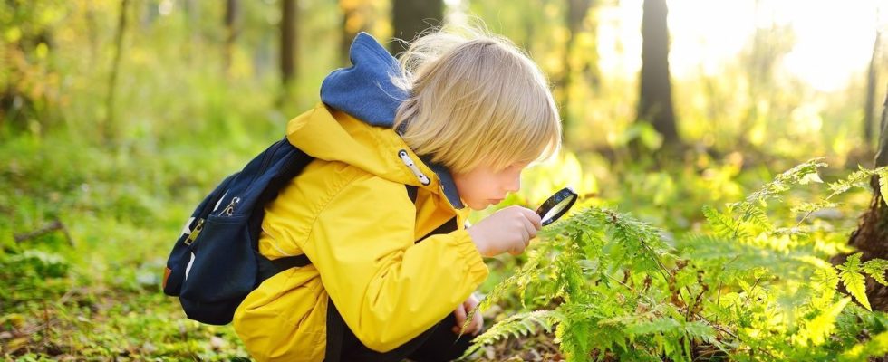 Country children have stronger bones than city children