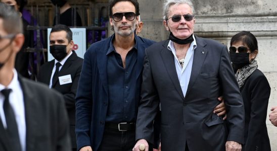 Delon affair complaints closed another to come The family continues