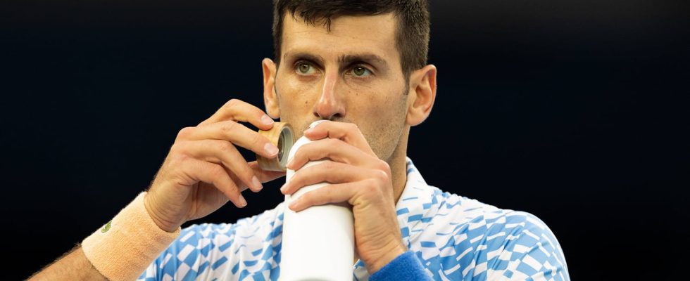 Doping Vitamin Novak Djokovics magic drink contains ingredient that makes