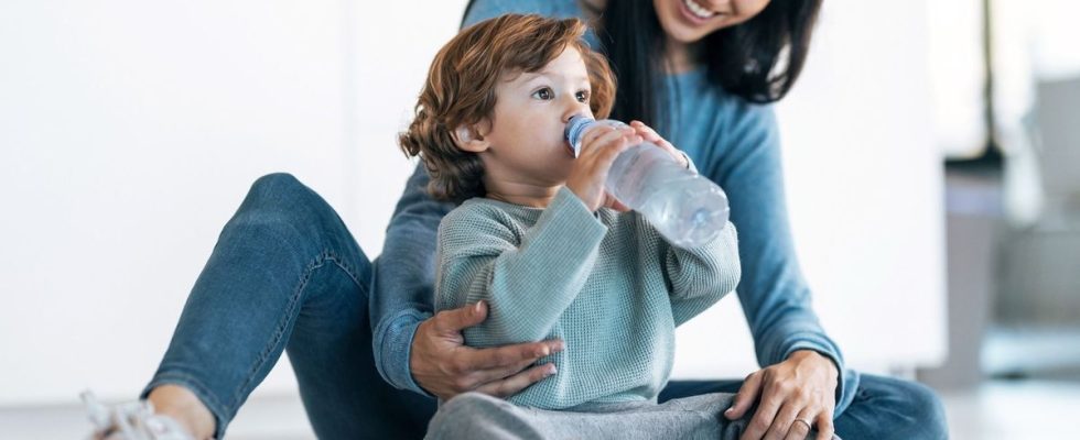 Each water bottle contains hundreds of thousands of plastic particles