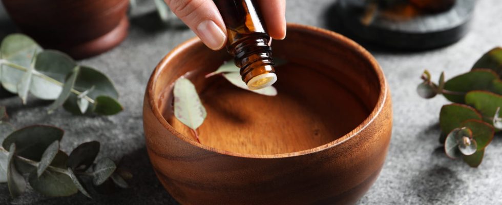 Expectorant this essential oil is best for bronchitis