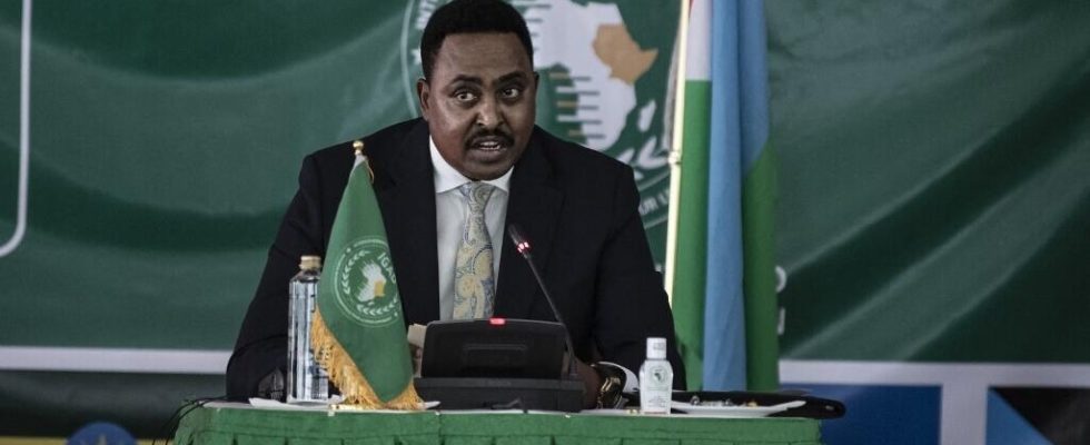 Faced with the crisis in Sudan and Ethiopia Somalia tensions Igad