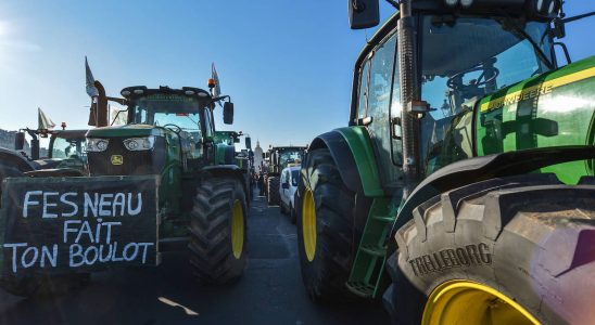 Farmers protests what are they demanding by blocking the highways