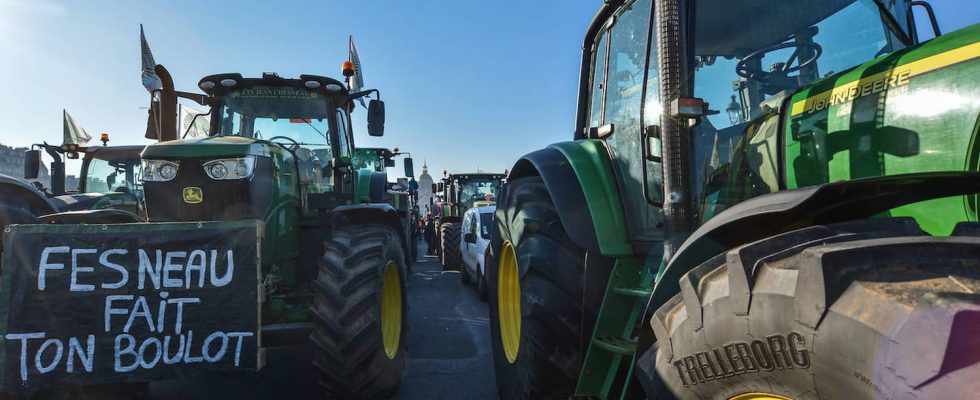 Farmers protests what are they demanding by blocking the highways