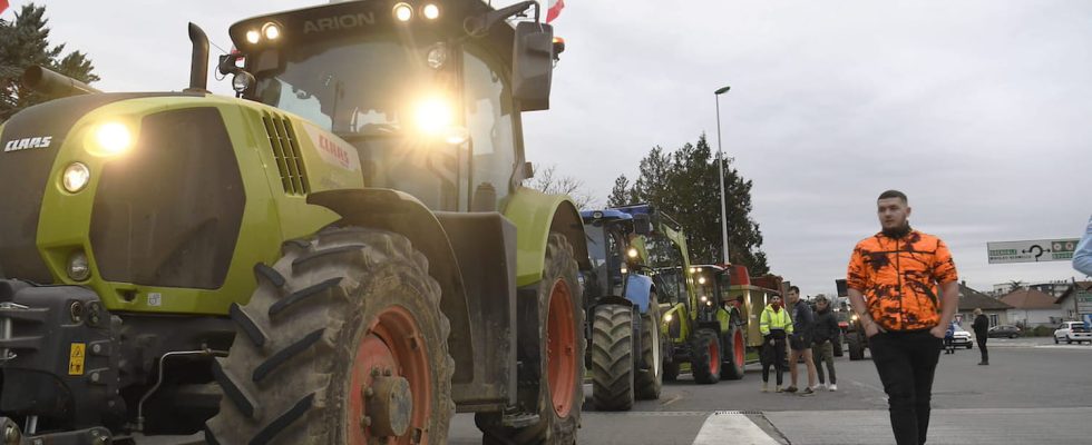 Farmers tempted by the far right