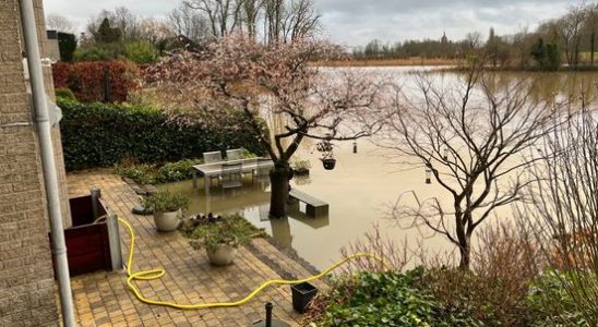 Gardens of houses outside the dike in Leerdam under water