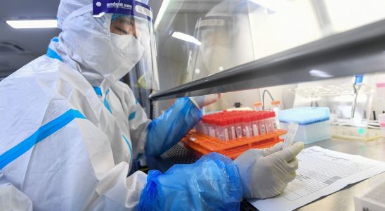 In China a potentially deadly coronavirus created in the laboratory