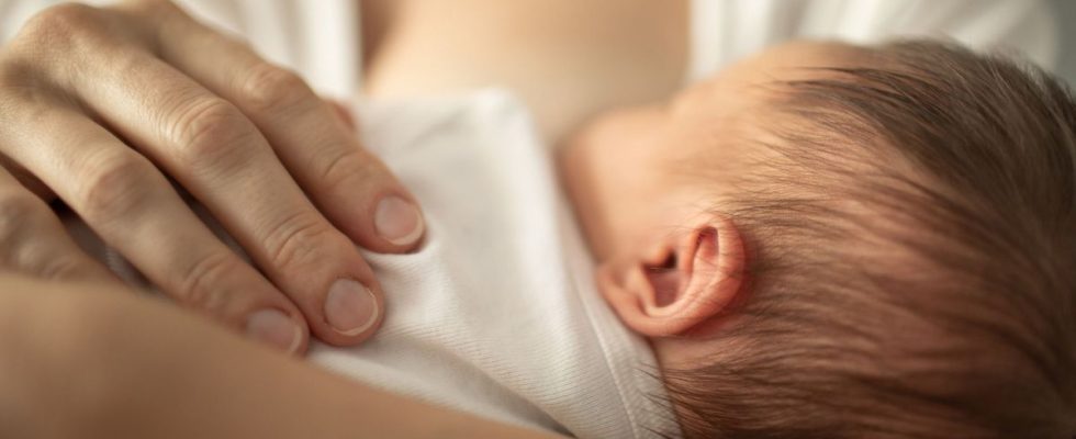 In France the number of babies at its lowest since