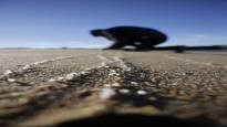 In northern Spain plastic pellets wash up on the beaches