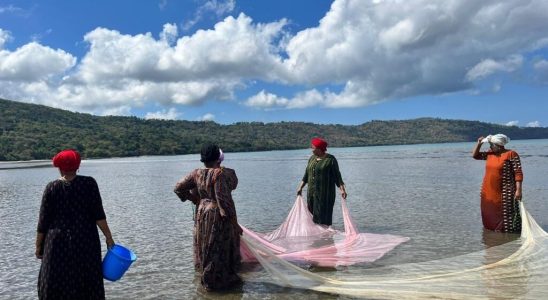 Indigenous languages one year after the launch of the decade