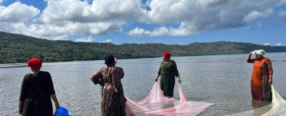 Indigenous languages one year after the launch of the decade