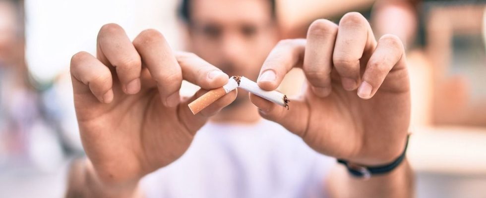 One in five adults use tobacco worldwide down since 2000