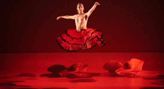 Philippe Lafeuille liberates the genre of CarMen