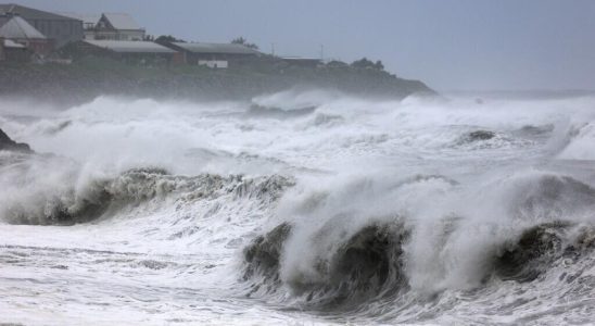 Reunion Island is confined in the face of the threat