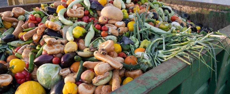 Sorting of bio waste ineffective for a majority of French people