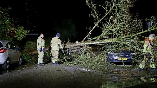 Storm Henk causes damage in Nieuwegein