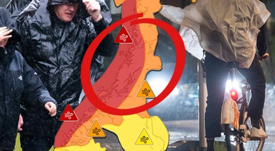 Storm Ingunn is coming to Sweden SMHI warns