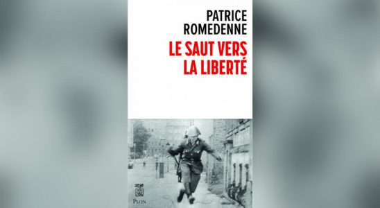 The Leap of Freedom by Patrice Romedenne