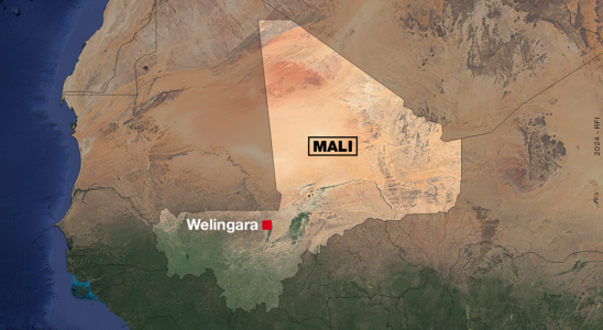 The Malian army and the Wagner group execute 25 people