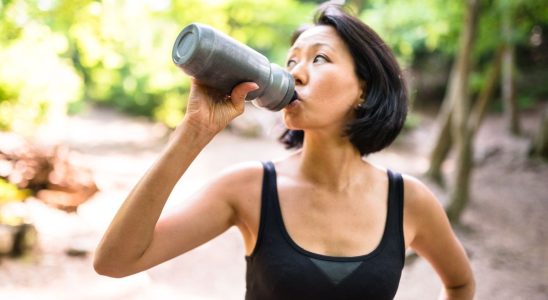 The Stanley Cup this reusable bottle that has become ecological