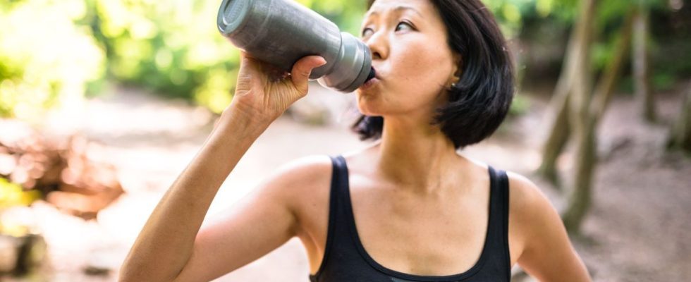 The Stanley Cup this reusable bottle that has become ecological