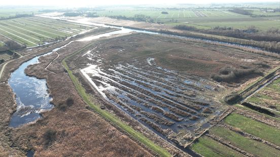 The Zouweboezem near Ameide is in better condition than many