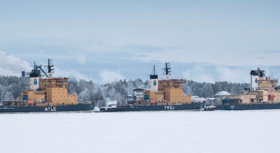 The entire Gulf of Bothnia already covered in ice