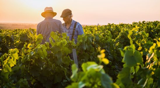 The richest man in France is a wine producer