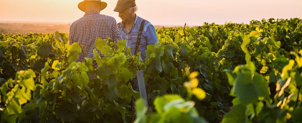 The richest man in France is a wine producer