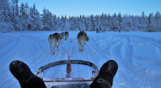 Trips to cold Scandinavian places are hot at Vakantiebeurs Good