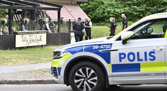 Was injured by runaway horses in central Stockholm this summer