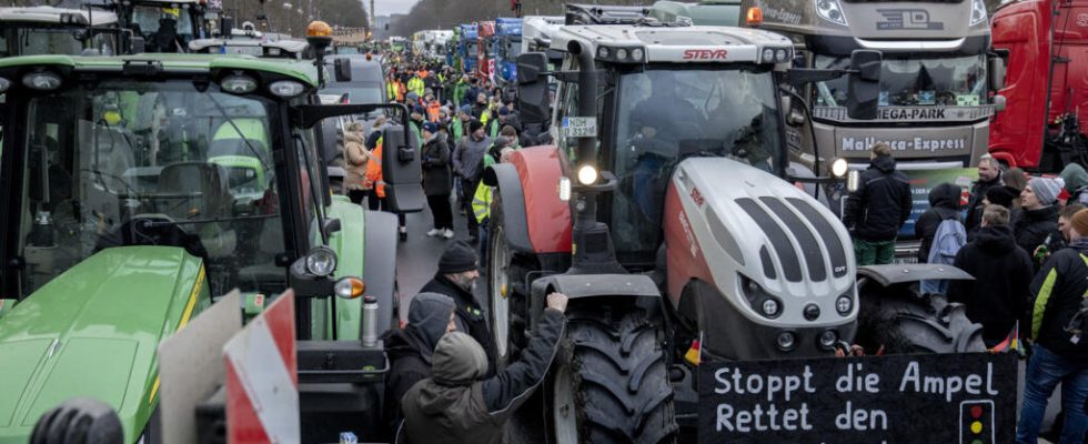 We are no longer letting ourselves be fooled German farmers