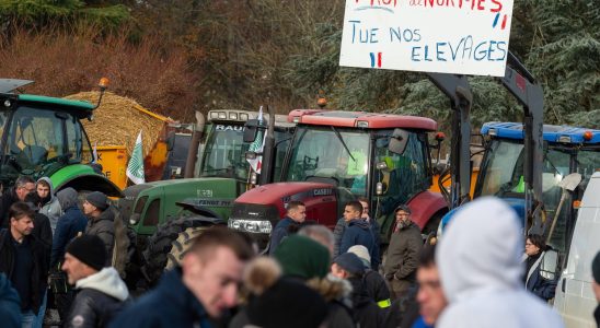 What are the standards that weigh on farmers